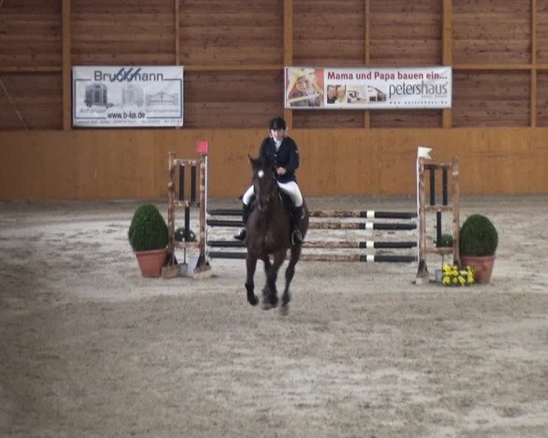 Reitturnier Xanten 2019