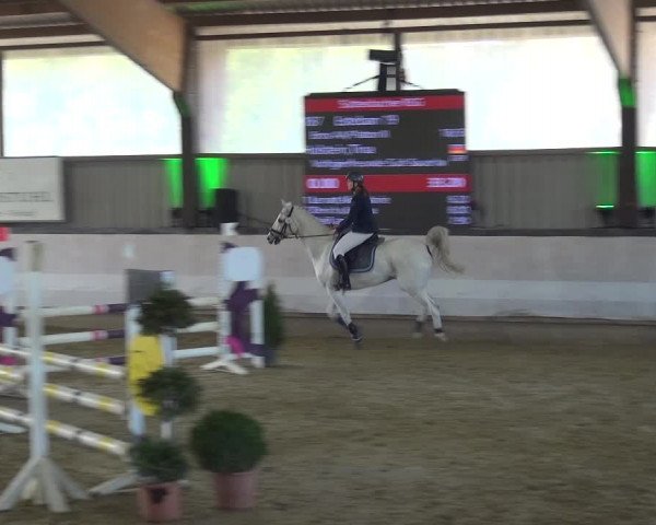 Reitturnier Lindlar-Süttenbach 2019