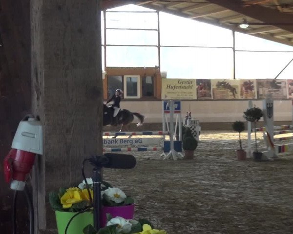Reitturnier Lindlar-Süttenbach 2019