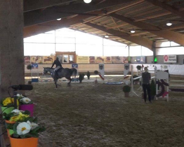 Reitturnier Lindlar-Süttenbach 2019