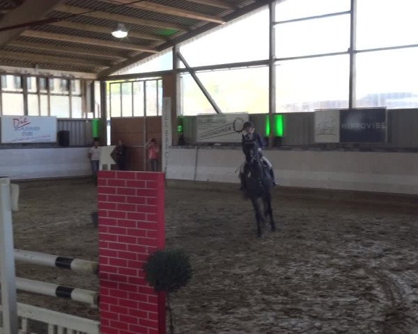 Reitturnier Lindlar-Süttenbach 2019
