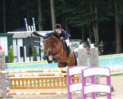 Cavallo da salto Lugner (Holsteiner, 2007, di Landos)