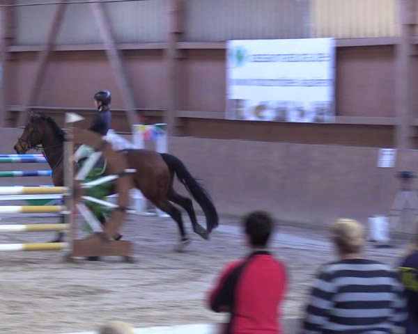 Reitturnier Lentzke - Reitanlage Krehl 2019