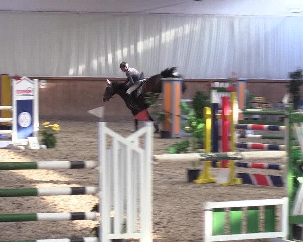 Reitturnier Lentzke - Reitanlage Krehl 2019