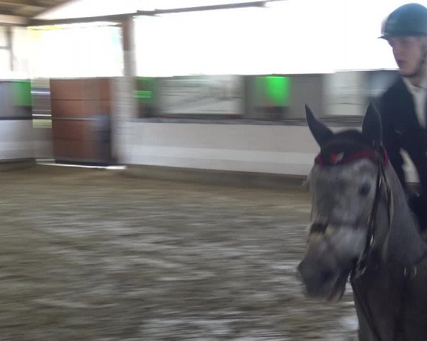 Reitturnier Lindlar-Süttenbach 2019