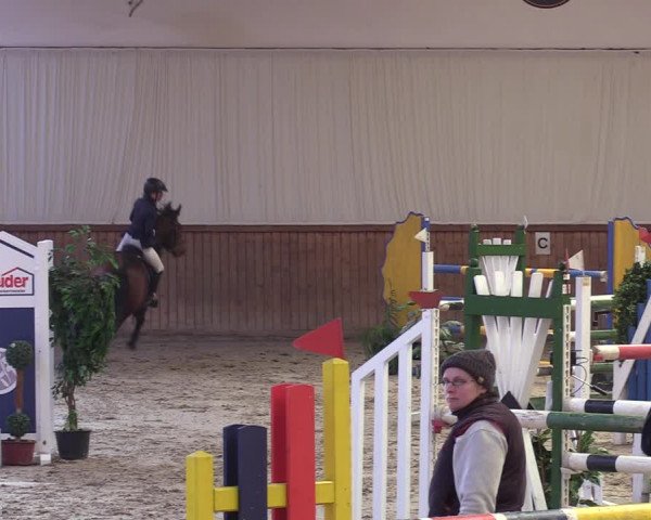 Reitturnier Lentzke - Reitanlage Krehl 2019