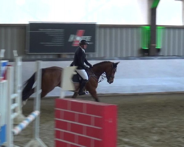 Reitturnier Lindlar-Süttenbach 2019