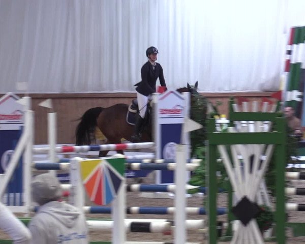 Reitturnier Lentzke - Reitanlage Krehl 2019