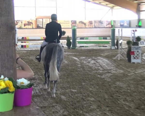 Reitturnier Lindlar-Süttenbach 2019