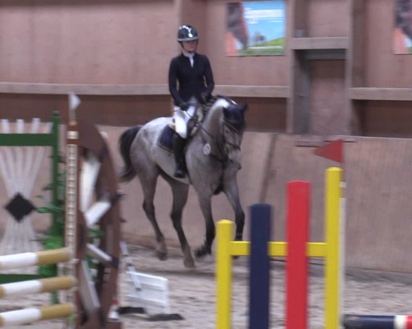 Reitturnier Lentzke - Reitanlage Krehl 2019