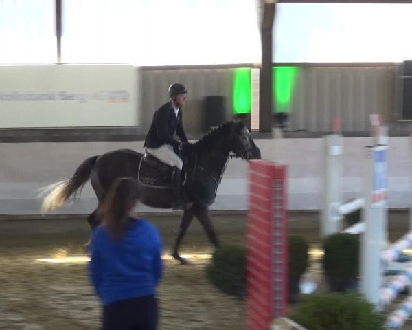 Reitturnier Lindlar-Süttenbach 2019