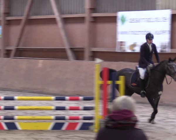 Reitturnier Lentzke - Reitanlage Krehl 2019