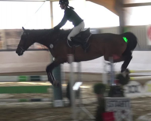Reitturnier Lindlar-Süttenbach 2019