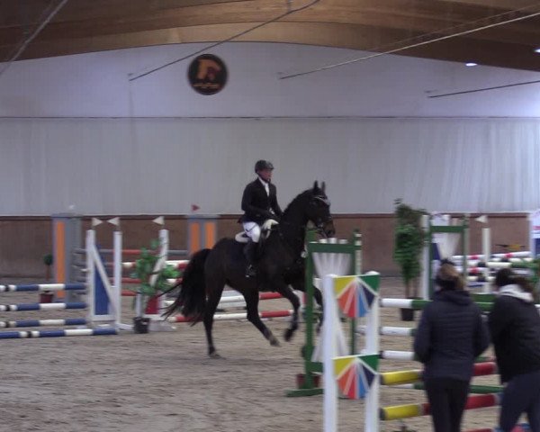 Reitturnier Lentzke - Reitanlage Krehl 2019