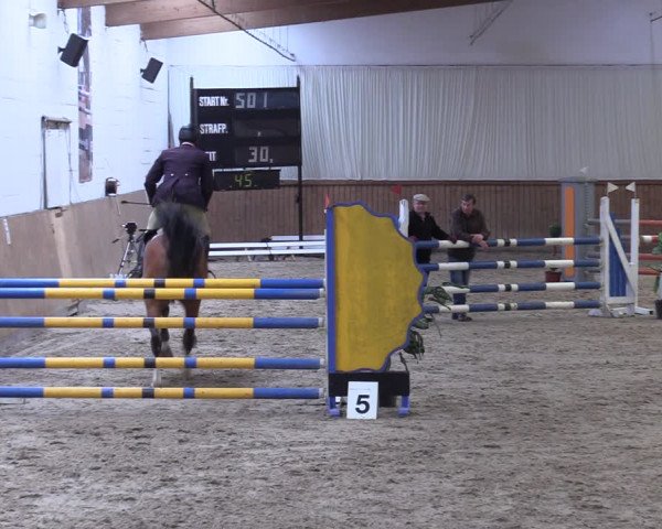 Reitturnier Lentzke - Reitanlage Krehl 2019