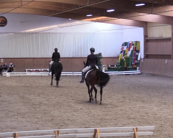 Reitturnier Lentzke - Reitanlage Krehl 2019