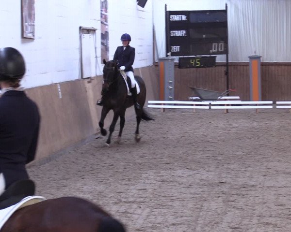 Reitturnier Lentzke - Reitanlage Krehl 2019