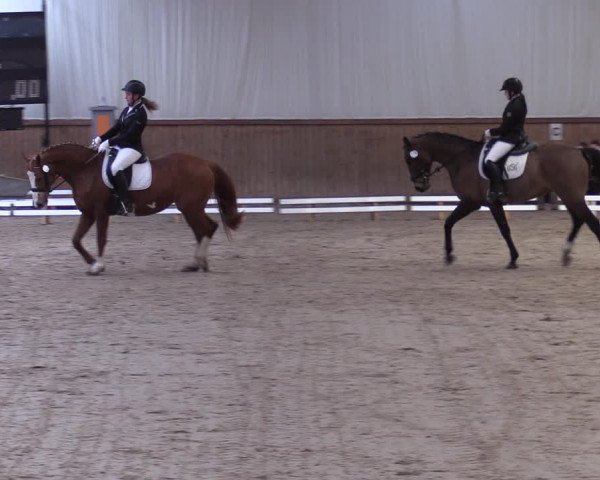Reitturnier Lentzke - Reitanlage Krehl 2019