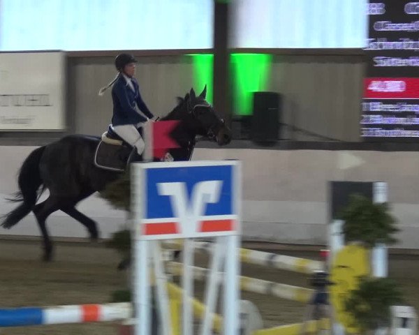 Reitturnier Lindlar-Süttenbach 2019
