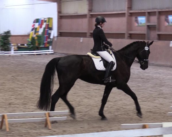 Reitturnier Lentzke - Reitanlage Krehl 2019
