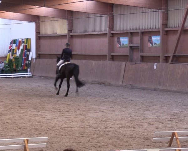 Reitturnier Lentzke - Reitanlage Krehl 2019