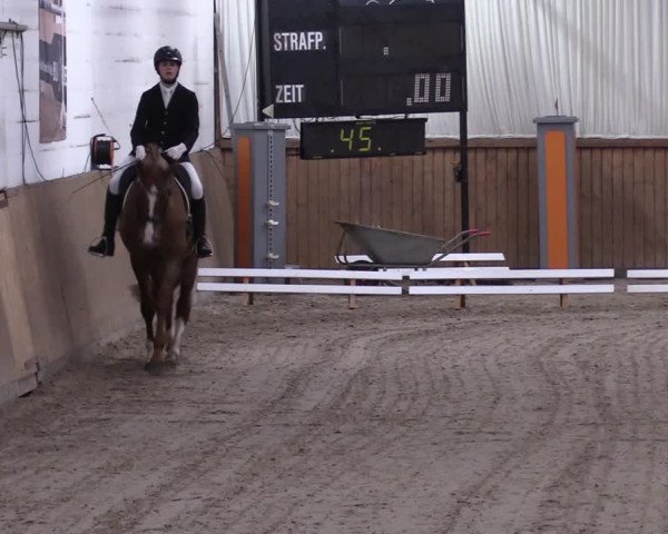 Reitturnier Lentzke - Reitanlage Krehl 2019