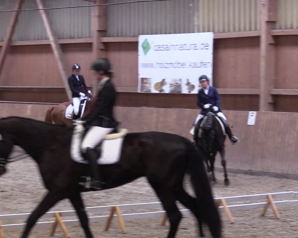 Reitturnier Lentzke - Reitanlage Krehl 2019