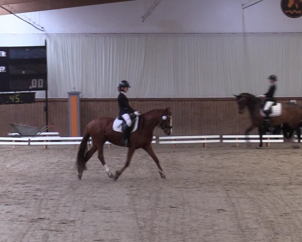 Reitturnier Lentzke - Reitanlage Krehl 2019