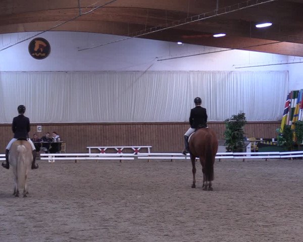 Reitturnier Lentzke - Reitanlage Krehl 2019