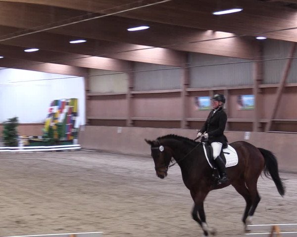 Reitturnier Lentzke - Reitanlage Krehl 2019