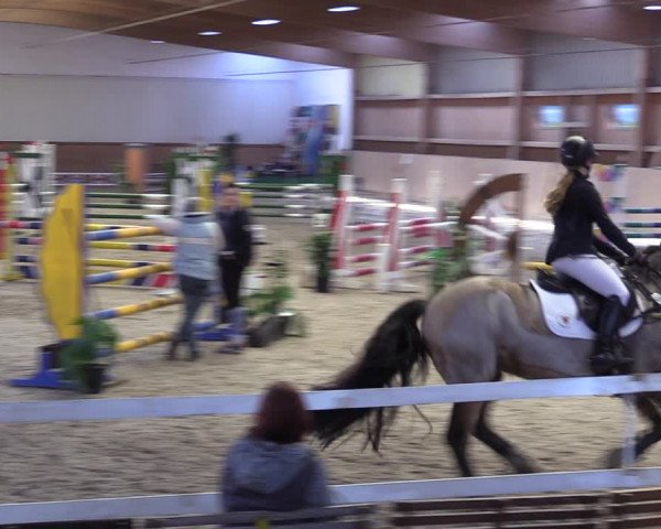 Reitturnier Lentzke - Reitanlage Krehl 2019