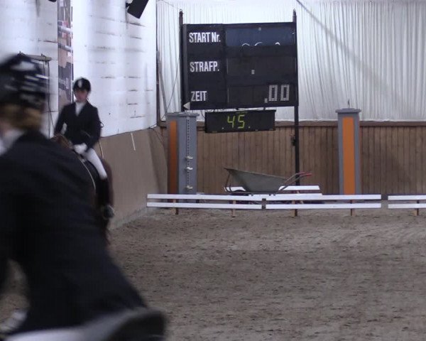 Reitturnier Lentzke - Reitanlage Krehl 2019
