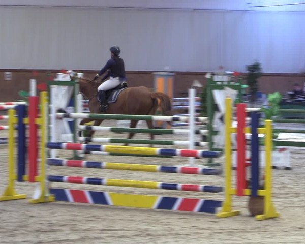 Reitturnier Lentzke - Reitanlage Krehl 2019