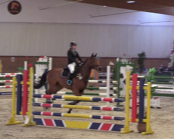 Reitturnier Lentzke - Reitanlage Krehl 2019