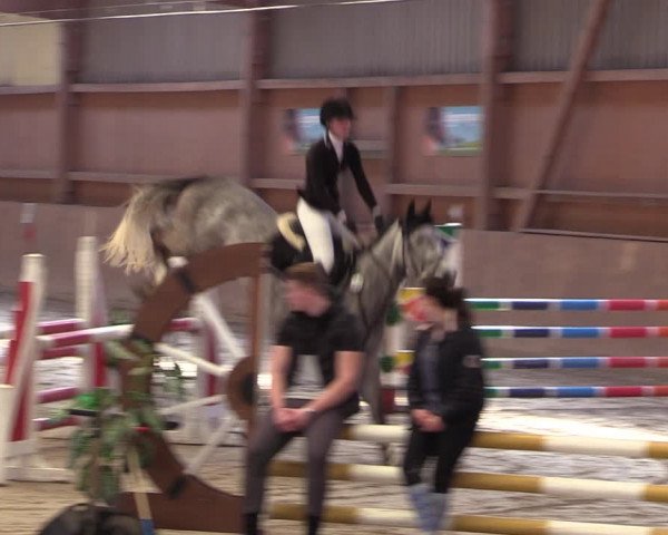 Reitturnier Lentzke - Reitanlage Krehl 2019