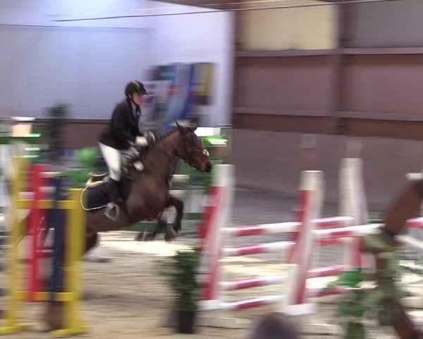 Reitturnier Lentzke - Reitanlage Krehl 2019