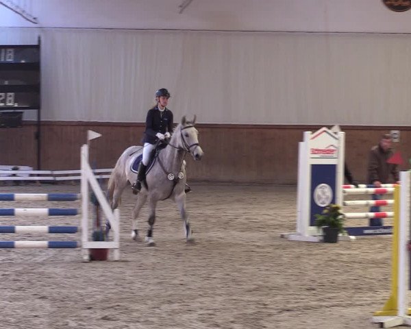 Reitturnier Lentzke - Reitanlage Krehl 2019