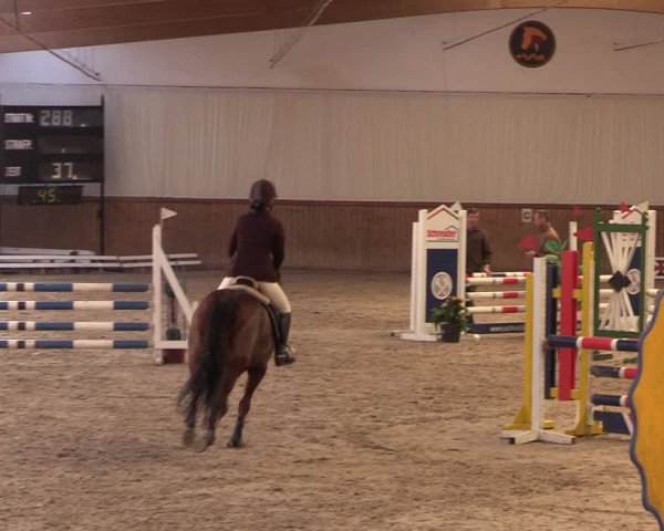 Reitturnier Lentzke - Reitanlage Krehl 2019