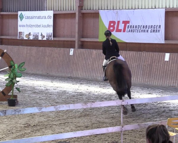 Reitturnier Lentzke - Reitanlage Krehl 2019