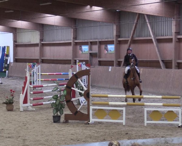 Reitturnier Lentzke - Reitanlage Krehl 2019