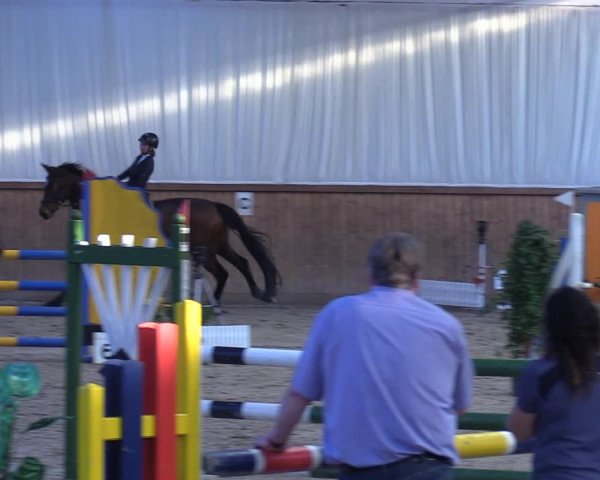 Reitturnier Lentzke - Reitanlage Krehl 2019