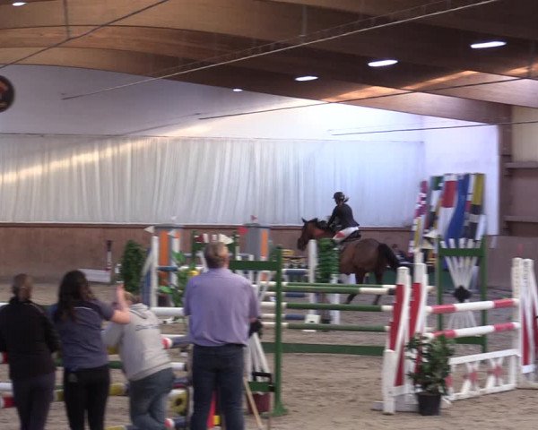 Reitturnier Lentzke - Reitanlage Krehl 2019