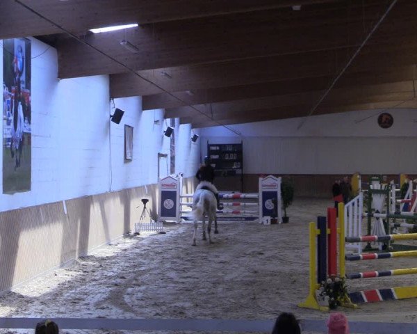 Reitturnier Lentzke - Reitanlage Krehl 2019