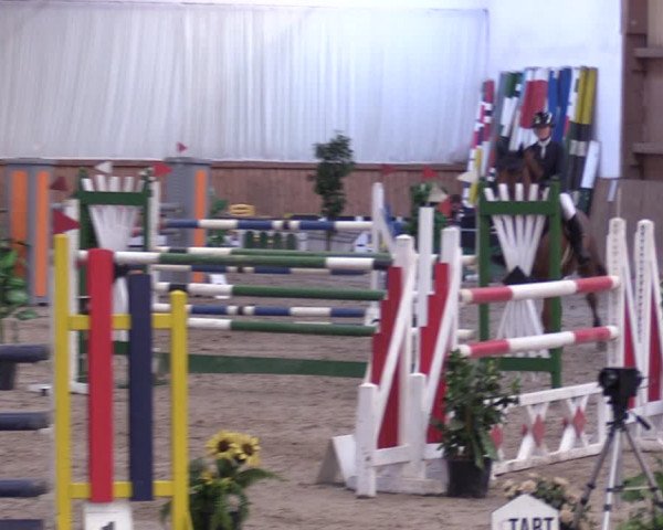 Reitturnier Lentzke - Reitanlage Krehl 2019