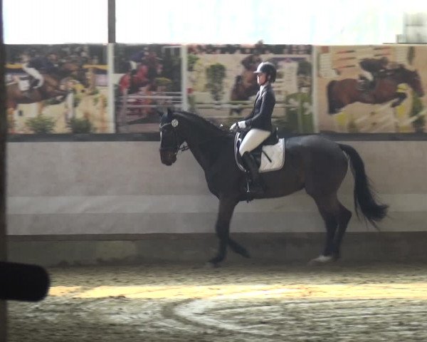 Reitturnier Lindlar-Süttenbach 2019