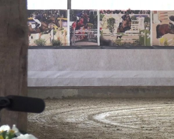 Reitturnier Lindlar-Süttenbach 2019
