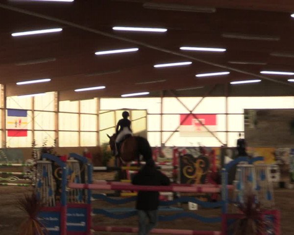 Große Jumping-Trophy Pausin 2021