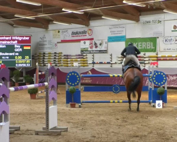Reitturnier Eicherloh RH Laurent/Obb. 2019