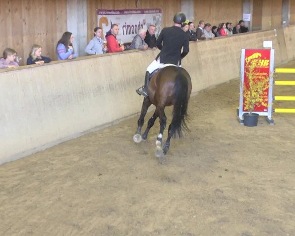 Reitturnier Friedrichshafen - Ailingen 2019