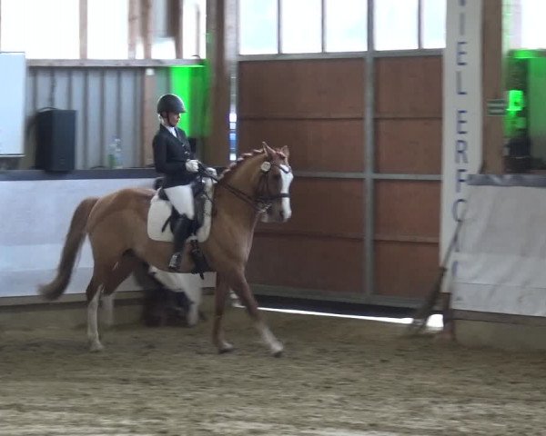 Reitturnier Lindlar-Süttenbach 2019